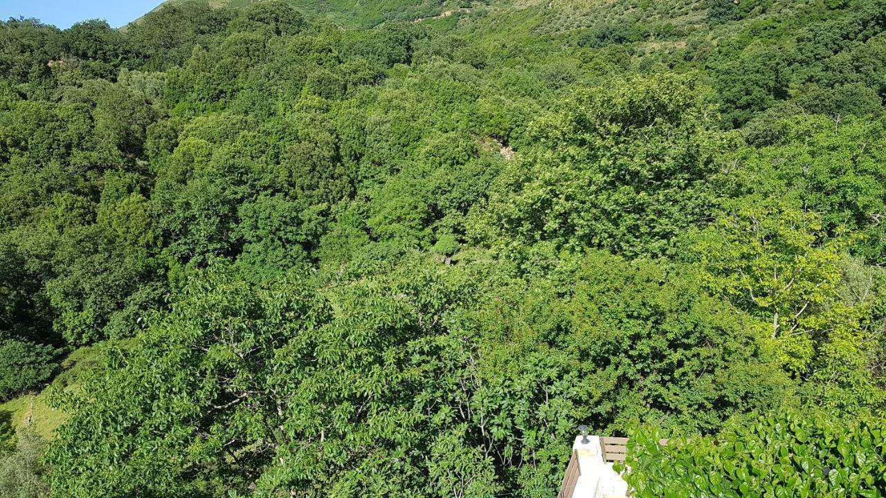 Irini΄S House Villa Alonai Buitenkant foto